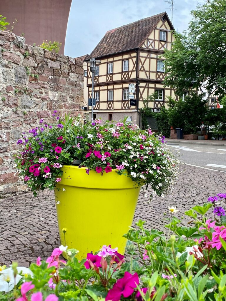 Blumiges Wertheim.